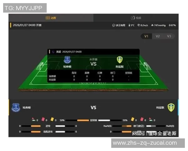 埃弗顿主场迎战利兹联全方位分析与比赛预测