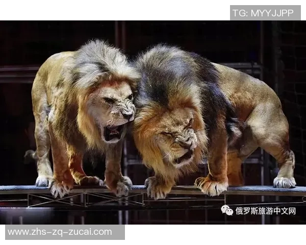 意大利人战特木科的精彩对决与战术分析探讨